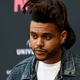 Illustration for article titled A Career Cut Short: The Weeknd Is Retiring From Music After Losing His Microphone